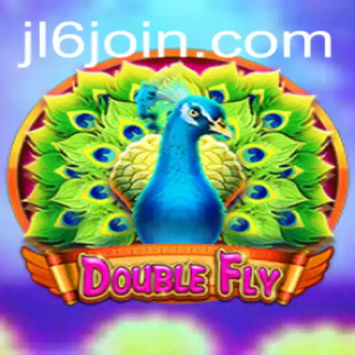 DoubleFly: An Exciting Journey Through the Skies